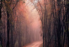 [CBA]领先、落后再逆转 青岛常规赛“双杀”辽宁.