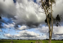 欧博abg官网：2025年斯诺克世界大奖赛即将开杆2025-03-04.