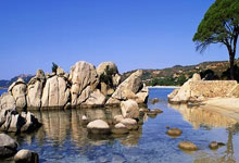 欧博abg官网:摩根-罗杰斯:期待同贝林厄姆在欧冠交手 同拉什福德踢球很愉快.